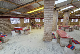 Peru_and_Bolivia_2025 (30/66)